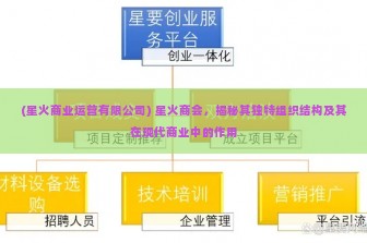 (星火商业运营有限公司) 星火商会，揭秘其独特组织结构及其在现代商业中的作用