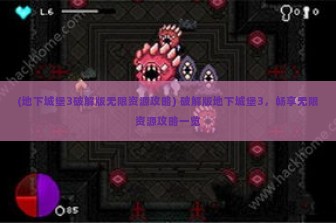 (地下城堡3破解版无限资源攻略) 破解版地下城堡3，畅享无限资源攻略一览